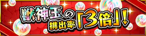 campaign_gyoku