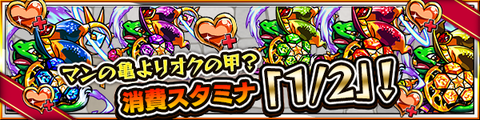 campaign_kame