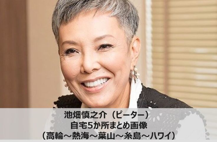 『池畑慎之介（ピーター）』