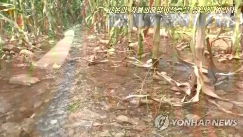 【ミサイル代で買えば？】北朝鮮、ミサイル飛ばしながら、国連に食糧支援を要請