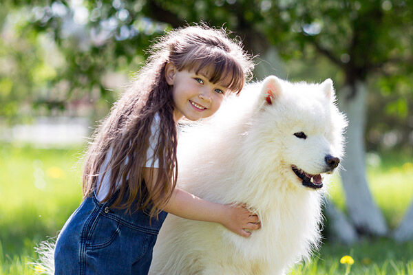 【ワンは友達】｢犬は主人に対して忠誠心を持つ｣は間違い…科学的研究でわかった本当のこと  [生玉子★]