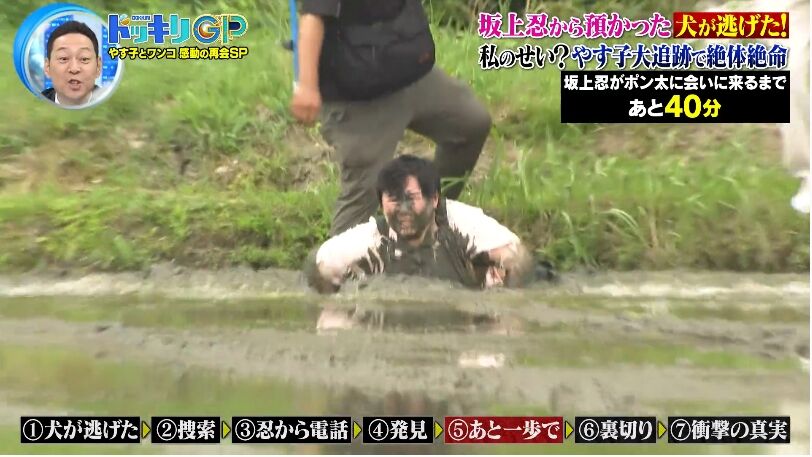 【やらかした】やす子、ドッキリで “田んぼ突入シーン” が大不評…コメ不足背景に「二度と米喰うな」辛辣な意見も