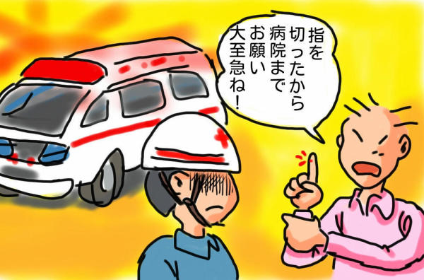 【タクシー代わりの救急車】「蚊に刺され＆日焼け」で119番なぜ？ 誰でも無料は日本だけ、悪質利用が増加！ 求められる対策、海外との違いとは  [ぐれ★]