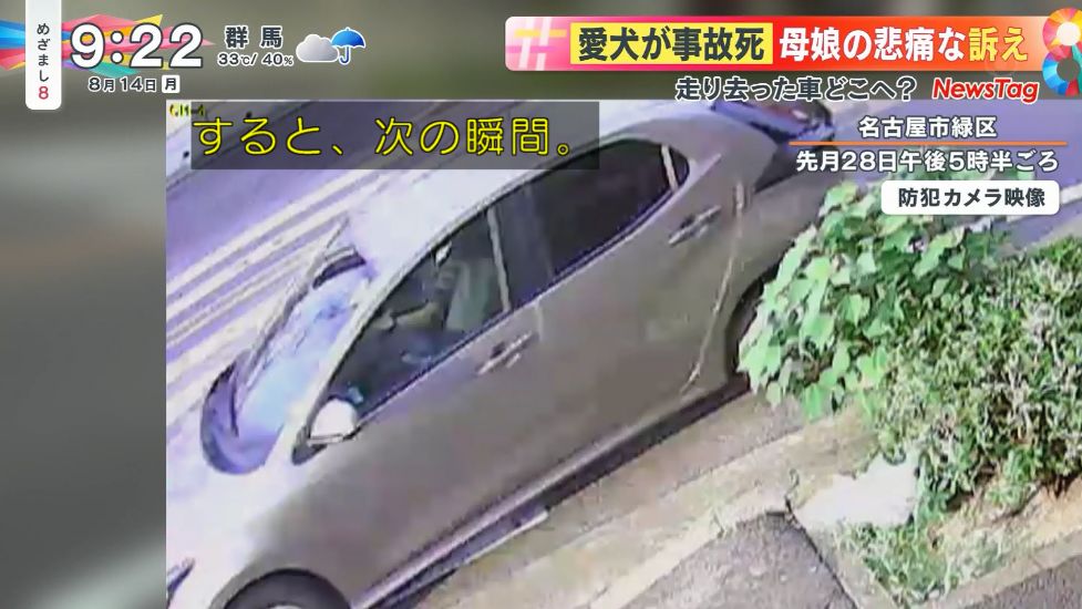 【酷い！】愛犬がひき逃げで事故死　母娘の悲痛な訴え「あさひくんに会いたい」手作りの看板で情報提供呼びかけ  [ばーど★]