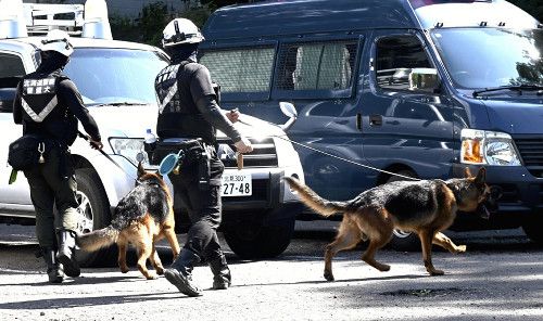 【北海道・羅臼岳】遺体はヒグマに襲われた26歳男性と判明　父親「野生動物に襲われて死んでしまったことが悲しい」 ★4  [ぐれ★]