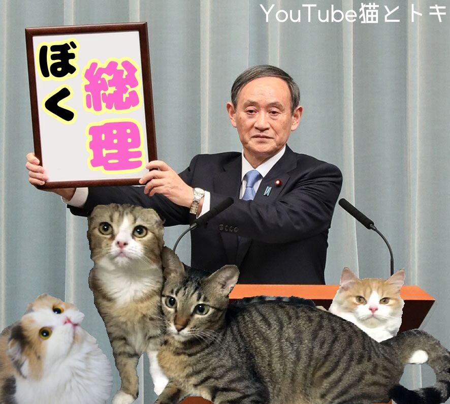 【1位は誰だ？】20～30代に聞く「総理にならないで欲しい政治家」ランキング…進次郎氏、石破氏を抑えた“圧倒的1位”は？