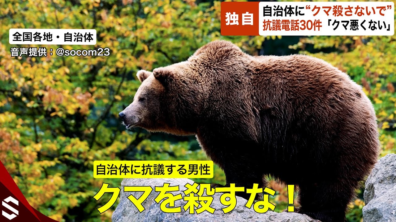 【北海道】「クマを殺すな」「クマがいる土地に人間が住んでる」ヒグマ駆除後に役場に電話殺到…猟友会「ヒグマの肉食化進んでいる」★3  [ぐれ★]
