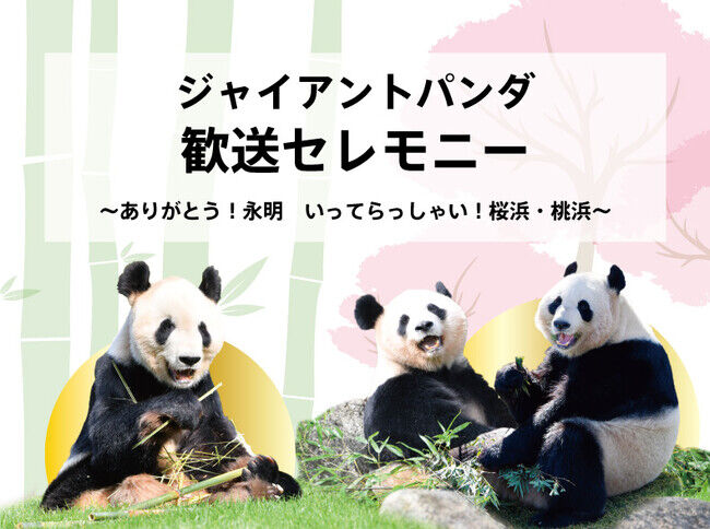 「元気でね】和歌山のパンダも帰国。「永明」「桜浜」「桃浜」　3頭が中国ヘ向け園を出発　「ありがとう！」大勢の職員が見守る中…  [はな★]