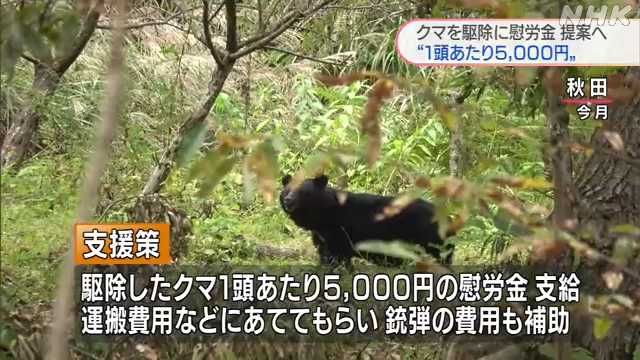 【秋田】佐竹県知事 クマ捕獲に1頭5000円の慰労金など支給へ  [少考さん★]
