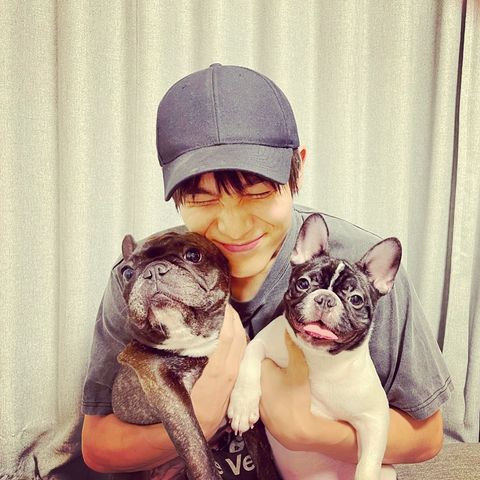 【分かる】中川大志、散歩中に断りもなく愛犬を撫でられ困惑「他人の赤ちゃんに無談で絶対触らないよね？」