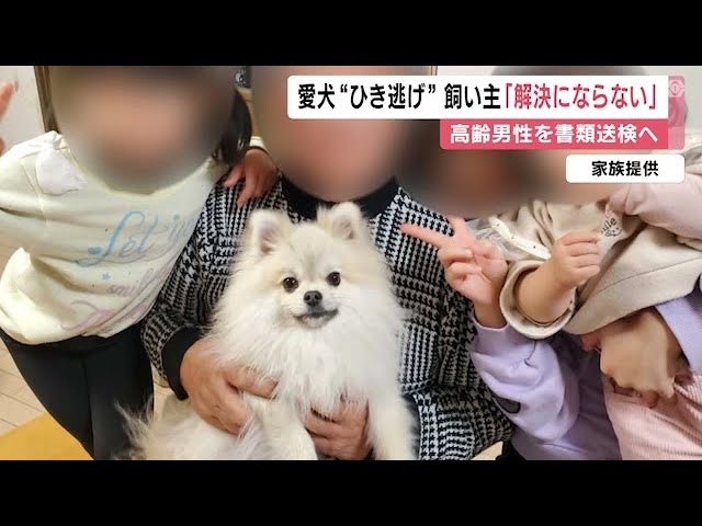 6歳少女と散歩中の愛犬が車にはねられ☆んだ事故  逃げたとみられる高齢男性を書類送検へ★2  [煮卵▲★]