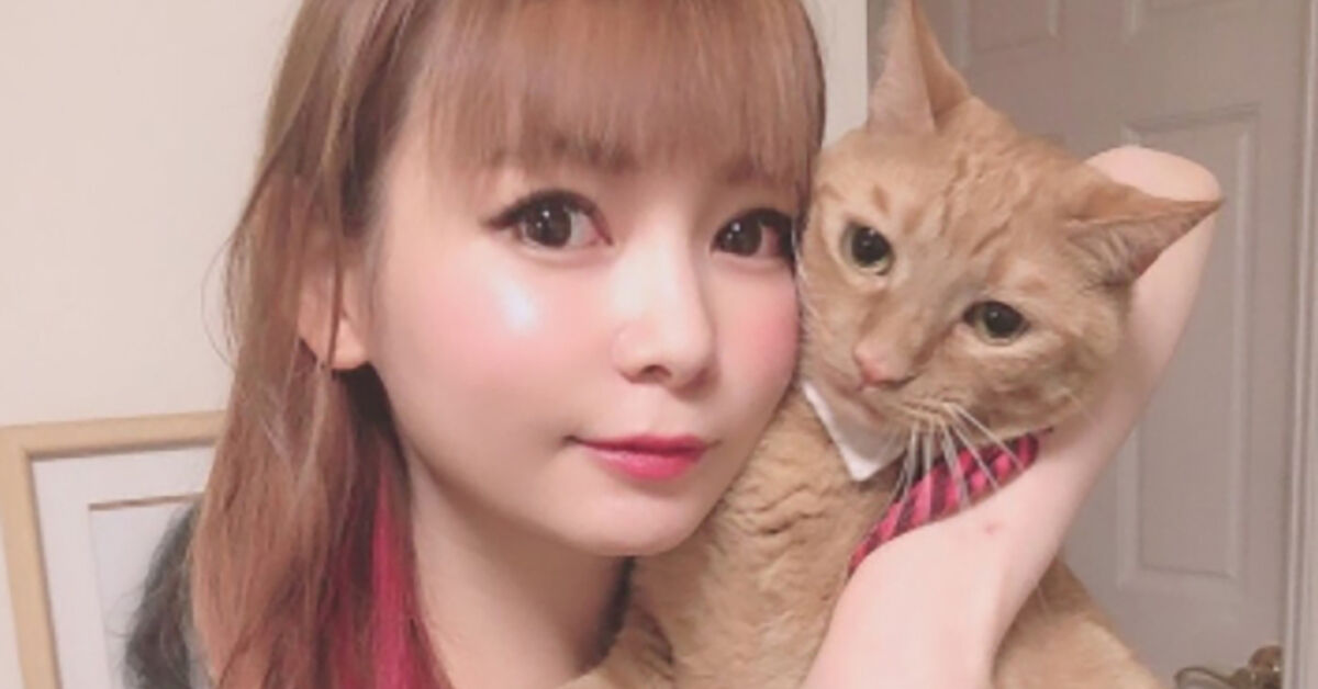 【悲し・・】ショコたん　溺愛していた愛猫・メポが天国へ旅立ったことを報告★2  [冬月記者★]