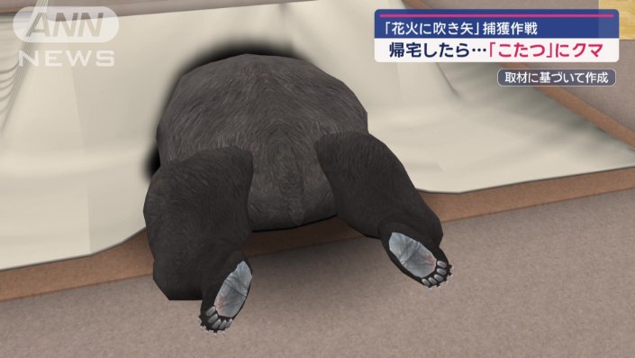 【山へ帰った】”こたつ熊”殺処分せずに人気のない山に放つ　喜多方市「現場の判断」