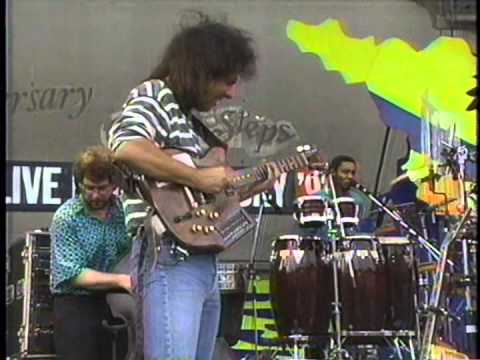 『パット・メセニー』