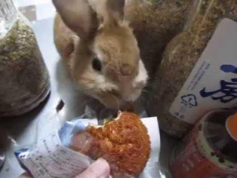 【馬★Tuber】うさぎにグミや菓子パン与え通報相次ぐ 「動物虐待」の指摘殺到でチャンネル削除  [ネギうどん★]