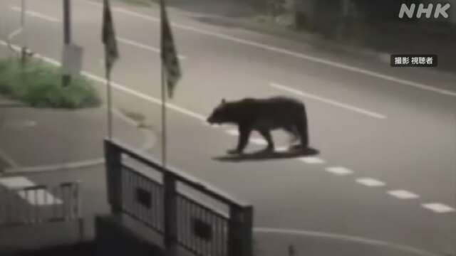 【クマ】ひぐま駆除、体長2メートル体重218キロ　北海道・福島町