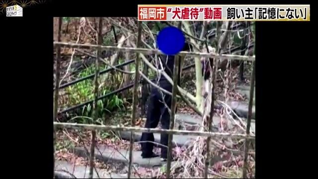 動画有 犬虐待動画がネットで拡散 覚えてないが躾と思う 申し訳ないことをした フリーダム ルーム
