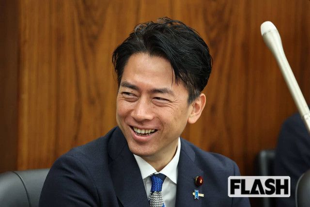 父・小泉純一郎の郵政民営化に続いて小泉進次郎に「壊されるかも」農業関係者が吐露した不安と“農協民営化”の可能性 | 週刊女性PRIME  [少考さん★]