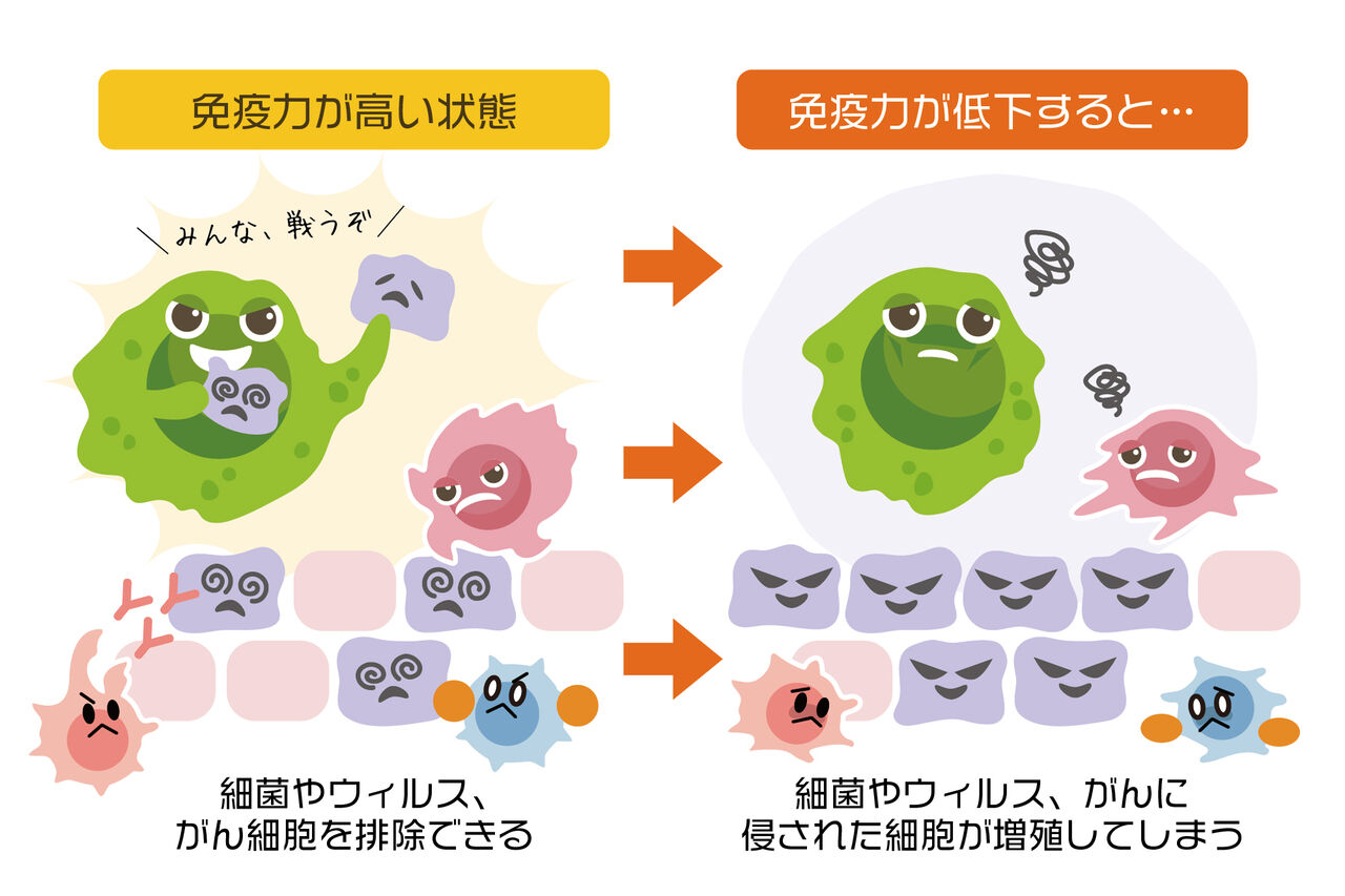【コロナ】なぜ日本はワクチン接種率世界一で感染率最多か…「恐れるべきはウイルスではなく免疫力（自然治癒力）の低下」 ★2  [樽悶★]