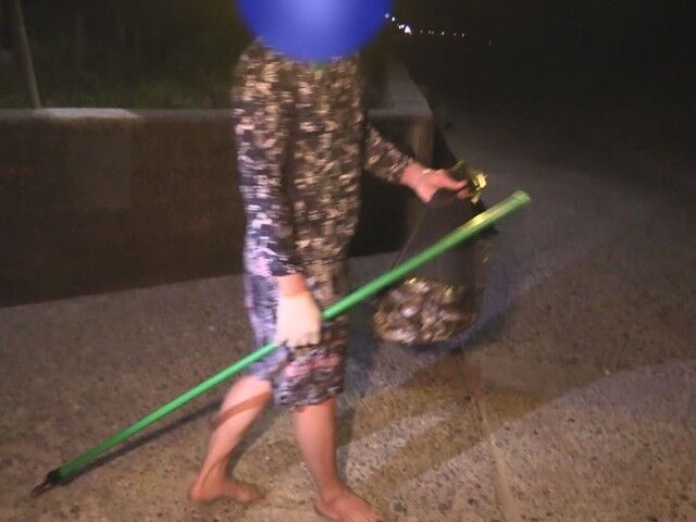 【やりたいほーだい】ワタリガニ捕獲する外国人が急増…SNSで情報広がったか　9〜11月夜間、遊漁者による採捕「禁止」に　木更津市の金田・牛込沖 [シャチ★]