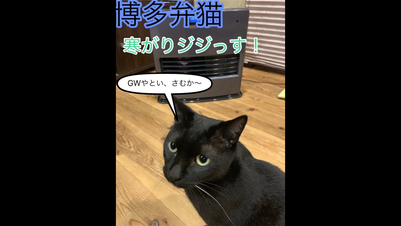 方言がめんこいのは何処だべね？　「福岡」「熊本」「徳島」「宮崎」「長崎」「青森」「三重」「高知」「佐賀」「石川」「福井」「山口」  [ひぃぃ★]