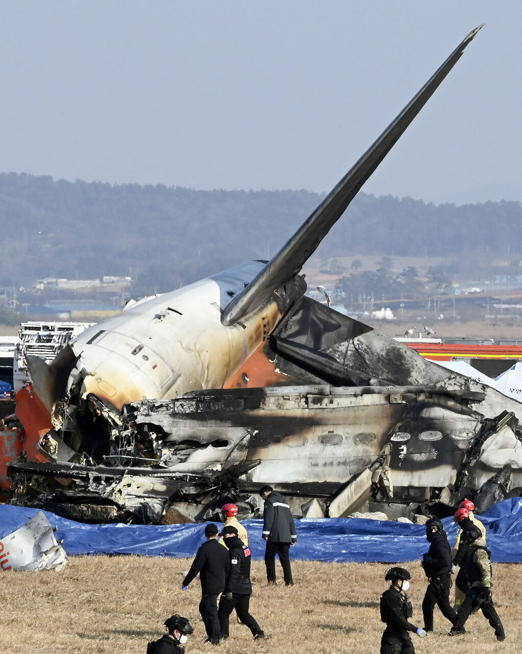 韓国チェジュ空港での飛行機事故「バードストライクでは説明できない」…旅客機事故原因について専門家たちの意見は様々