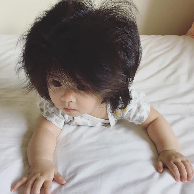 話題 生後半年でフサフサな髪を持つ赤ちゃんが話題に フリーダム ルーム 話題 生後半年でフサフサな髪を持つ赤ちゃんが話題に フリーダム ルーム