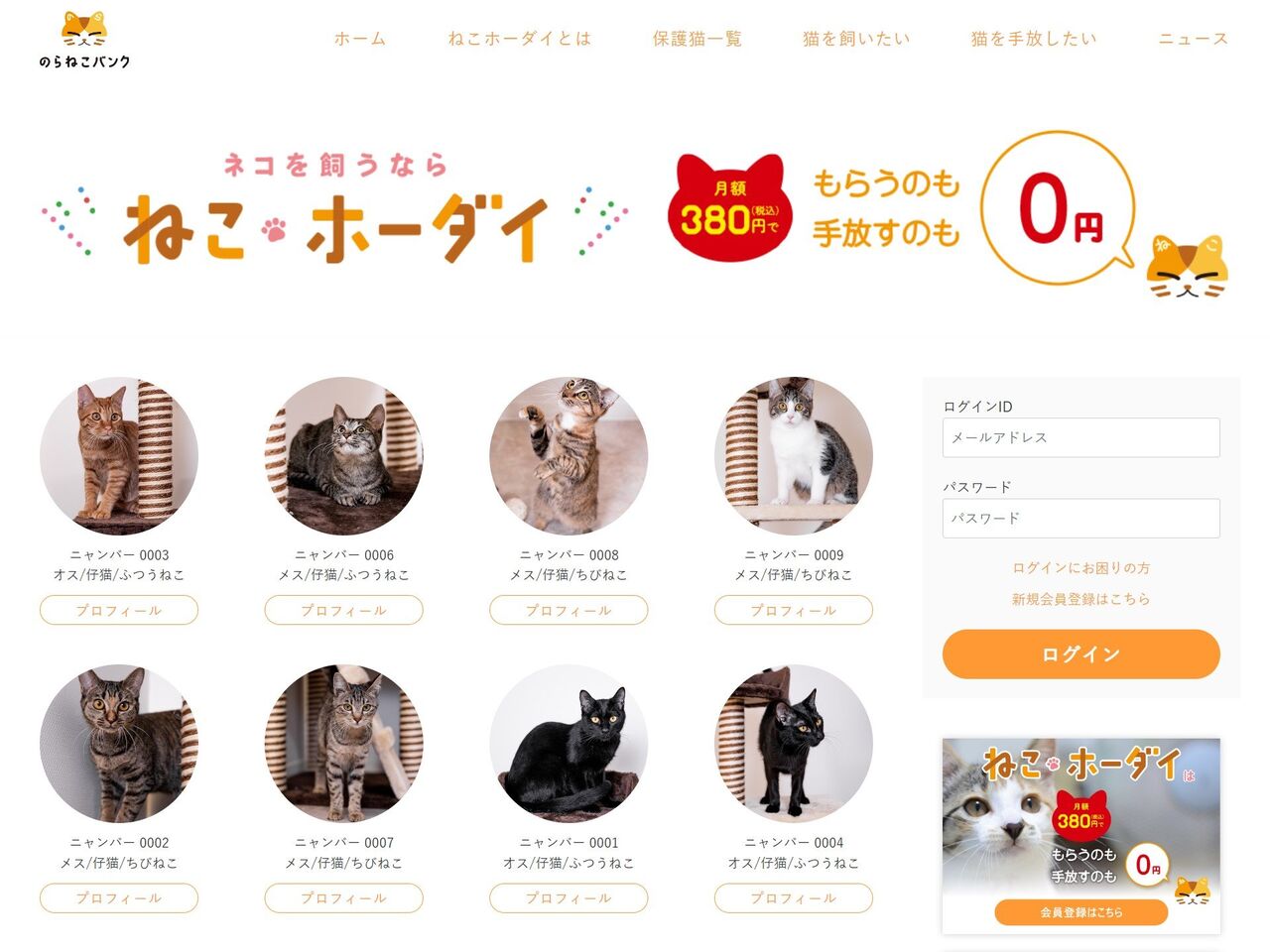 月額３８０円　猫のサブスク「ねこホーダイ」が炎上　坂上忍とフジテレビに飛び火　「坂上忍の見解を聞きたい」  [muffin★]
