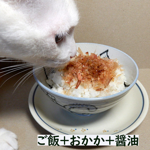 【高け～よ】備蓄米が店頭に並び…コメ平均価格１３週連続上昇、５キロ４２０６円