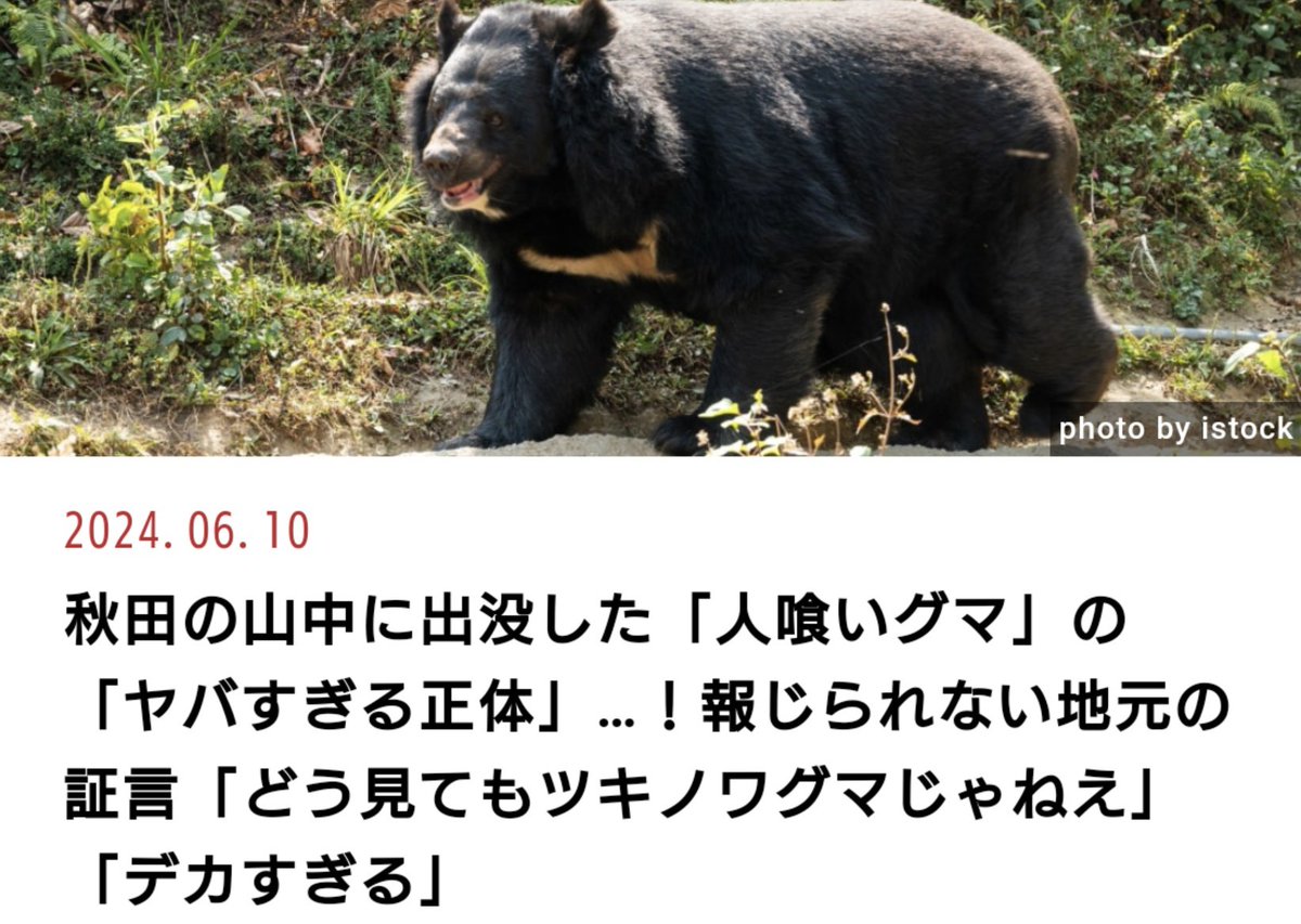 【ヤバすぎる】秋田に出没する「人喰い熊の正体」報じられない地元の証言「どう見ても月の輪熊じゃない」赤毛で大型の個体の目撃例