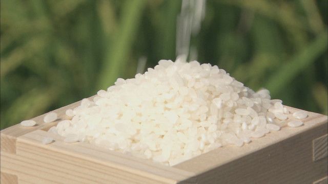 【成果だけドヤりｗ】農相「コメの品薄感が減った」　流通要請の成果を強調