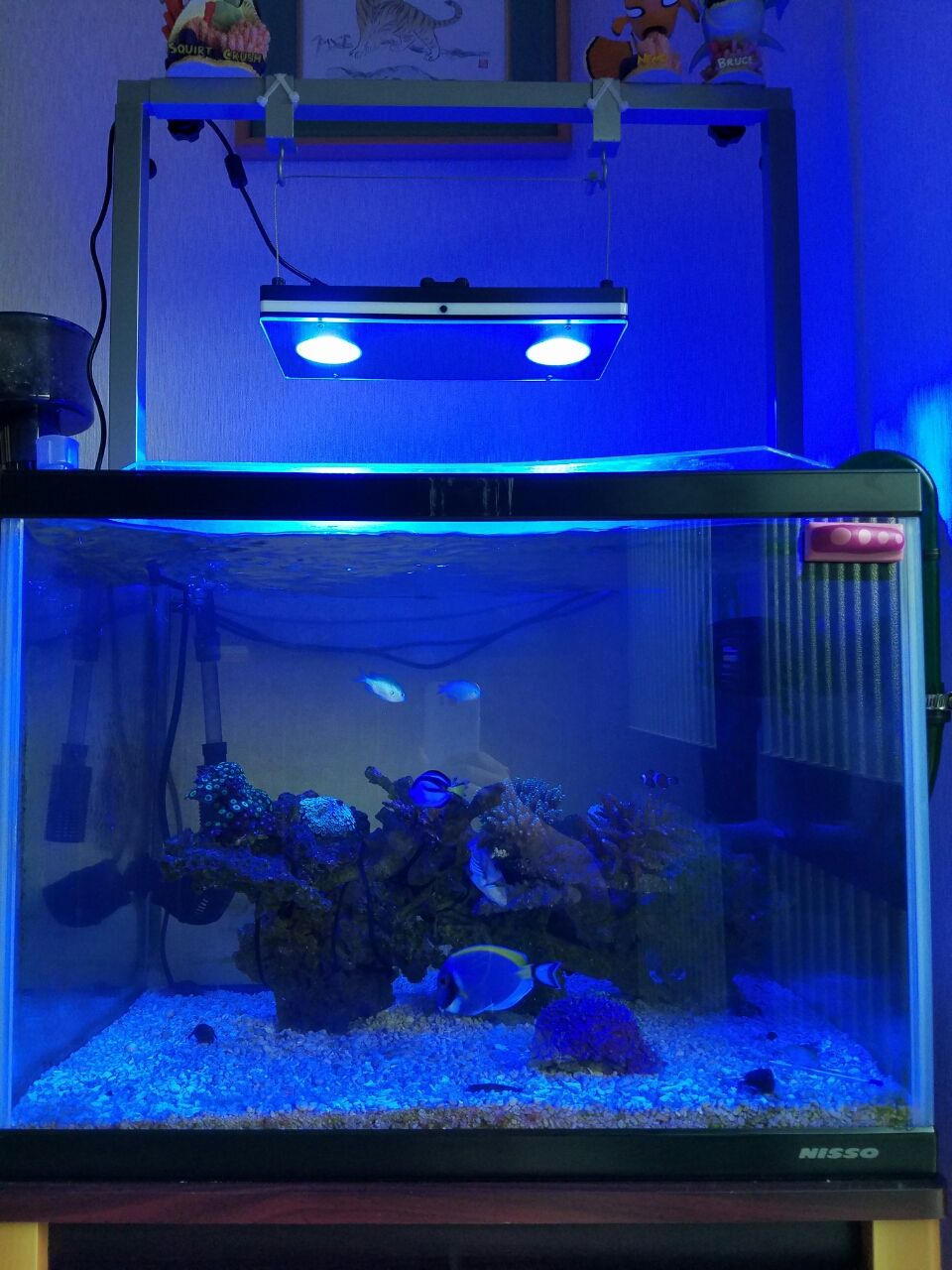 水槽こ用ＬＥＤ照明　LUmini Agua PIXIE 水槽こ用LED照明 LUmini Agua PIXIE 水槽こ用LED照明 LUmini Agua PIXIE