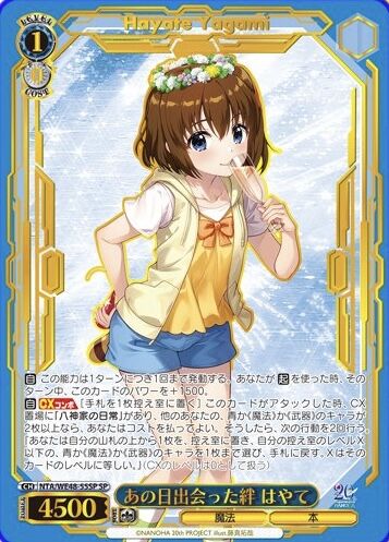 WS- Magical Girl Lyrical Nanoha 20th Anniversary Premium