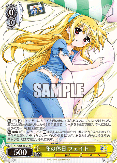 WS- Magical Girl Lyrical Nanoha 20th Anniversary Premium