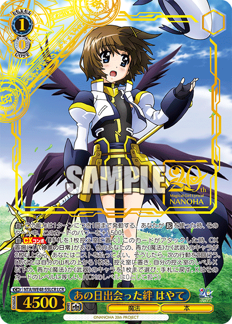 WS- Magical Girl Lyrical Nanoha 20th Anniversary Premium