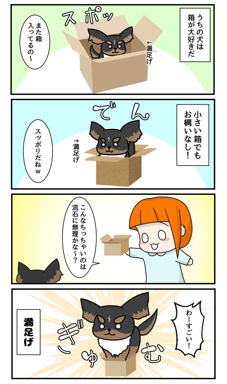はこちわわ