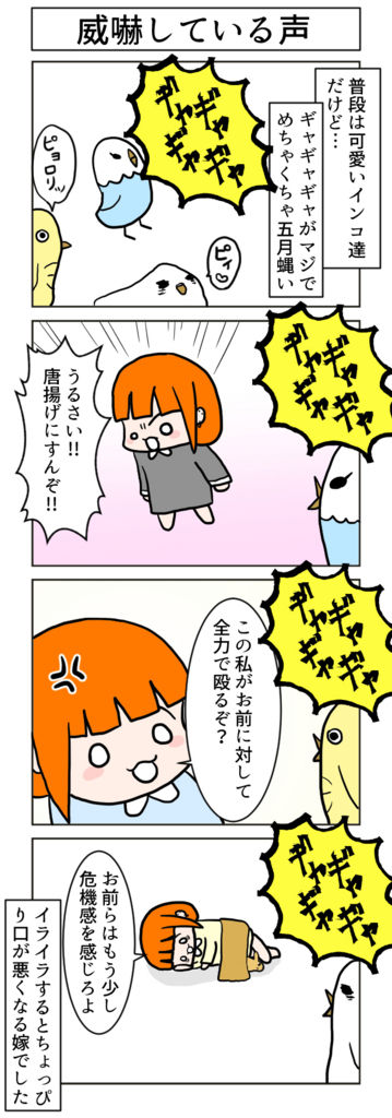 ４コマ インコの ギャギャギャ はマジで五月蝿い 嫁の反応は フリーダム嫁の観察記録 Powered By ライブドアブログ
