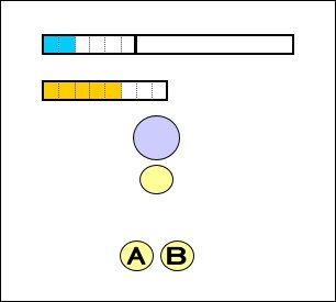 81