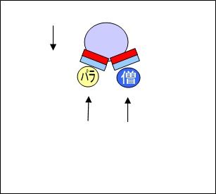 h5