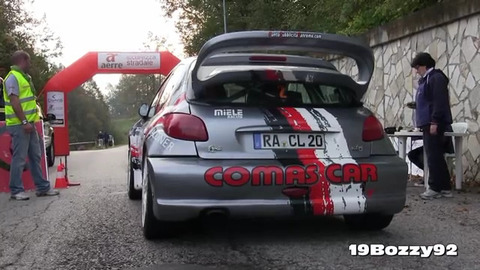 Peugeot 206 WRC