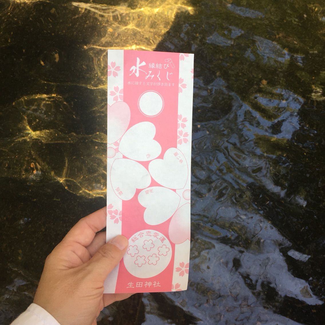 神戸ひとり旅 ふり ほいくしの日記