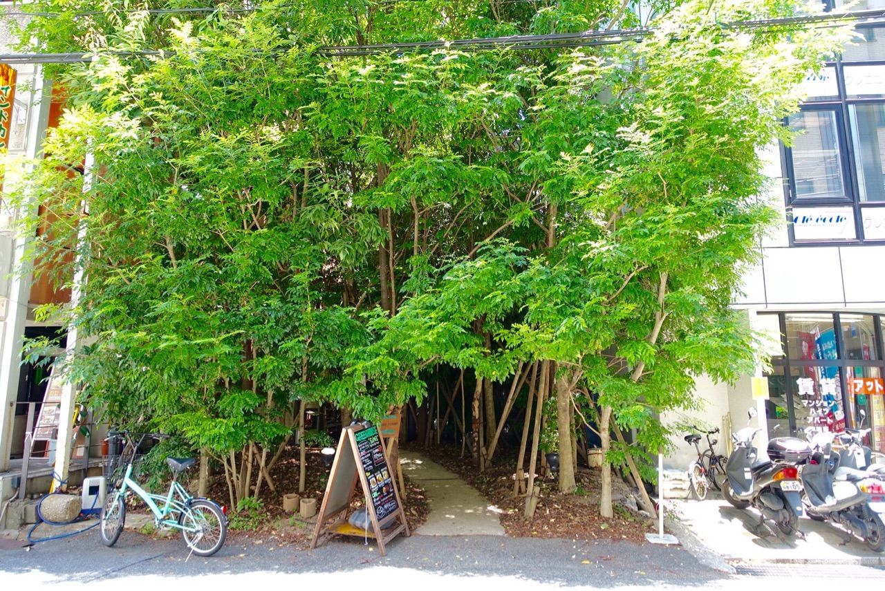 神戸の街中に突然 森が出現 Green House Silva グリーンハウスシルバ 想像cafe Mind