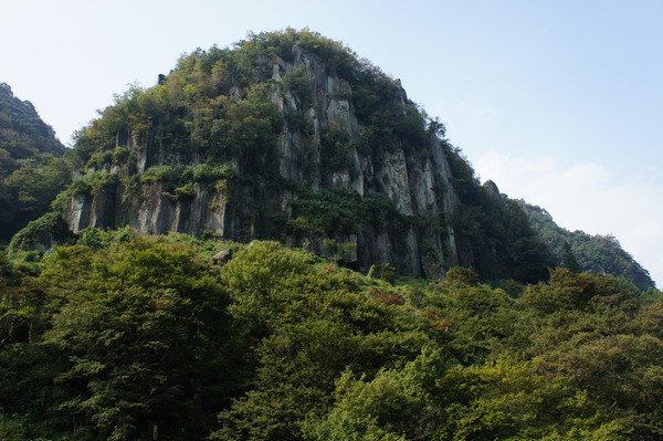 DSC01473