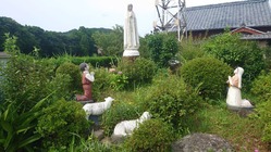 羊本本物かと思った