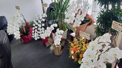 ¤¿¤¯¤µ¤ó¤Î¤ª²Ö