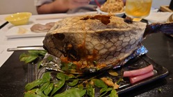 ギョギョハコフグ