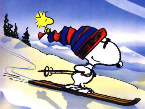 スヌーピーはビーグル犬か問題 小淵沢の冷蔵庫