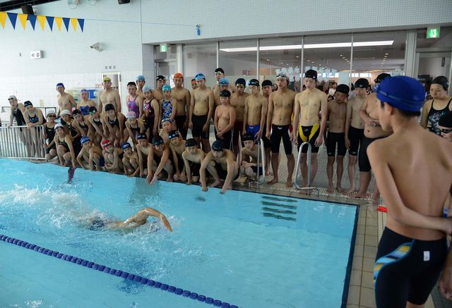 pool15