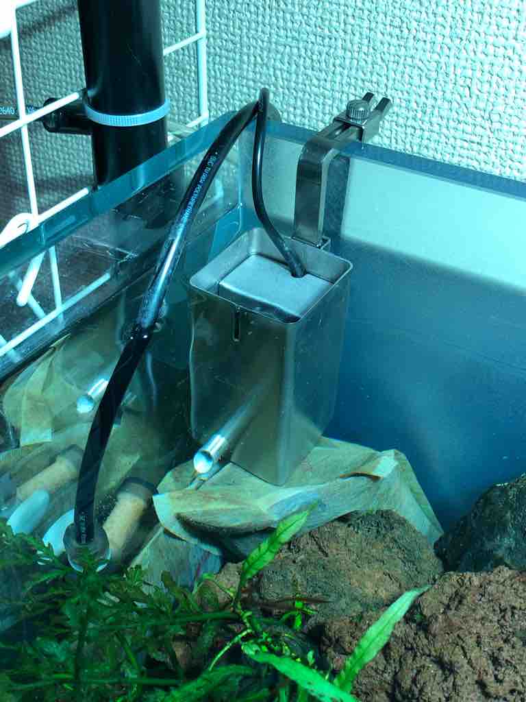 ADA ブッパ2 【公式通販】