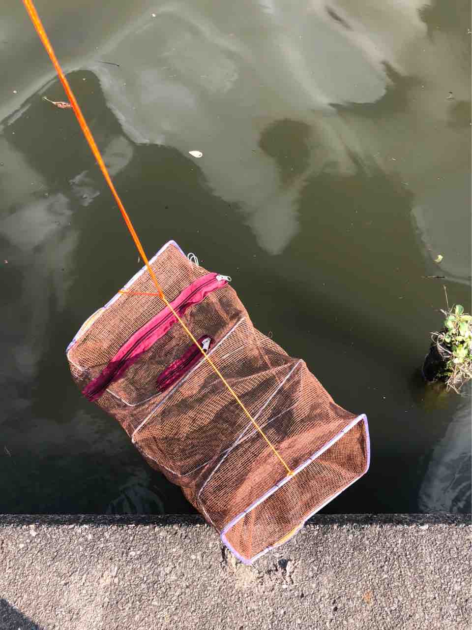 お魚キラーで何が捕れる 水元公園 40代の時間の使い方 Blog